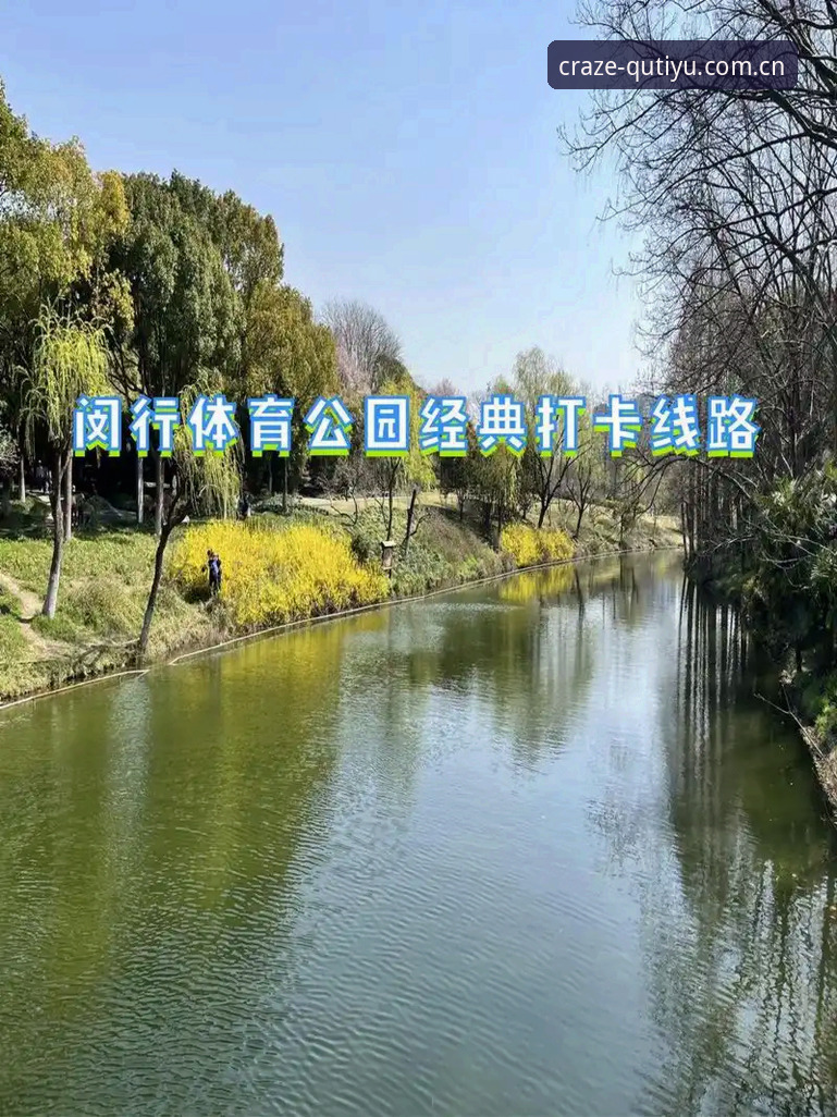 揭秘趣体育怎么下载：老用户手把手教你避开这些坑
